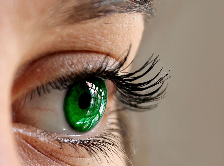 Der Schlüssel zur Herstellung falsche Wimpern Schönheitsindustrie