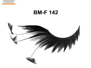 BM-F 142