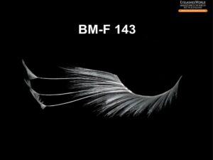 BM-F 143