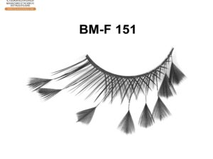 BM-F 151