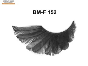 BM-F 152