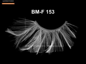 BM-F 153
