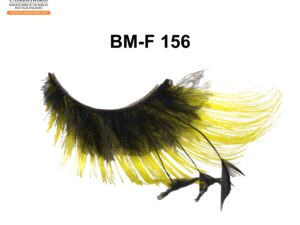 BM-F 156