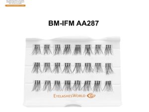 BM-IFM AA287