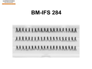 BM-IFS 284