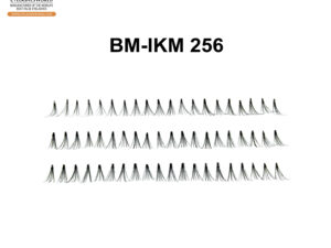 BM-IKM 256