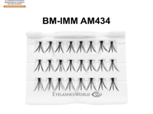 BM-IMM AM434