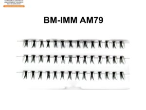 BM-IMM AM79