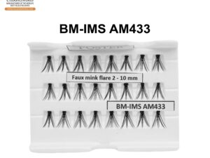 BM-IMS AM433