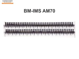 BM-IMS AM70