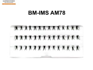 BM-IMS AM78