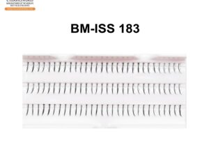 BM-ISS 183