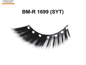 BM-R 1699 (SYT)