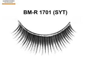 BM-R 1701 (SYT)