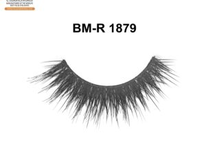 BM-R 1879