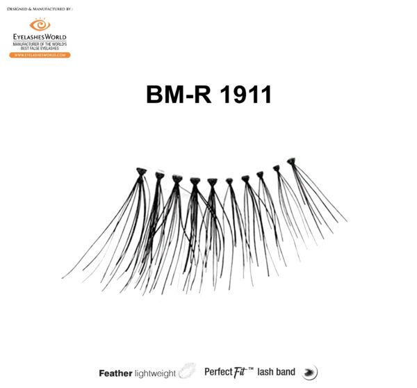 BM-R 1911