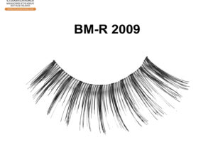 BM-R 2009