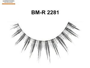 BM-R 2281