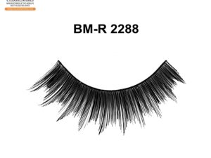 BM-R 2288