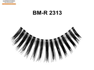 BM-R 2313