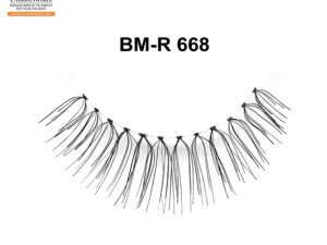 BM-R 668