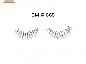 BM-R 668