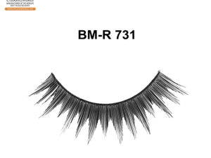 BM-R 731