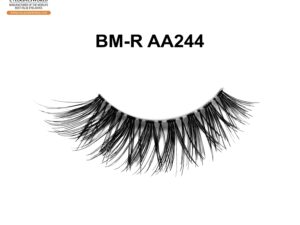 BM-R AA244