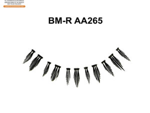 BM-R AA265