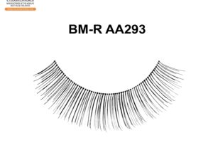 BM-R AA293