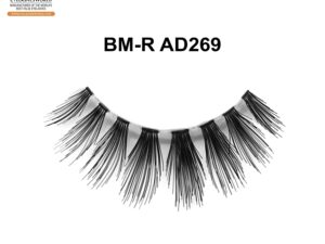 BM-R AD269