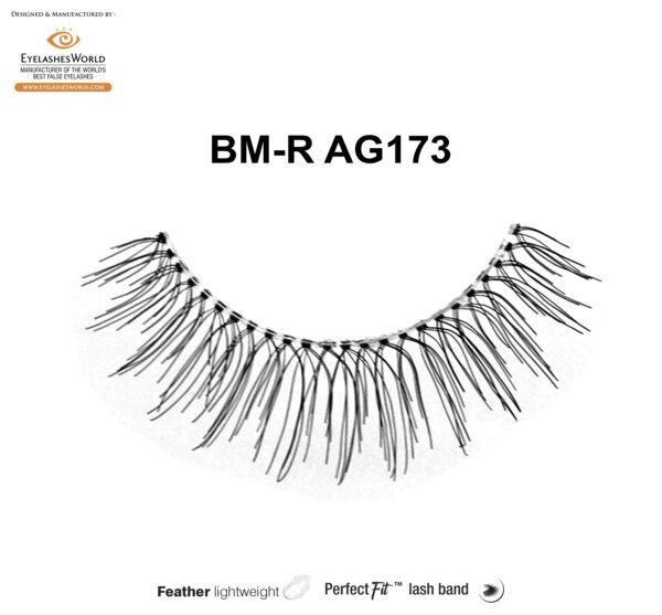 BM-R AG173