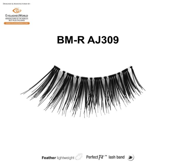 BM-R AJ309