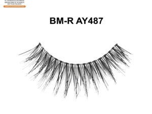BM-R AY487