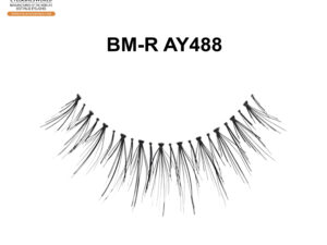 BM-R AY488