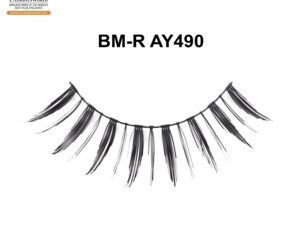 BM-R AY490