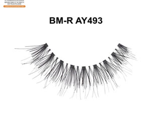 BM-R AY493