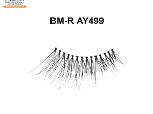 BM-R AY499