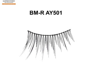 BM-R AY501