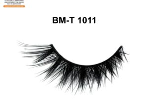 BM-T 1011