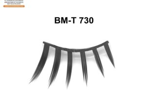 BM-T 730
