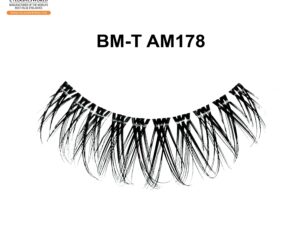 BM-T AM178