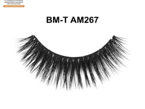 BM-T AM267