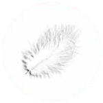 Eyelashesworld.com - Manufacturer of the world’s best false eyelashes