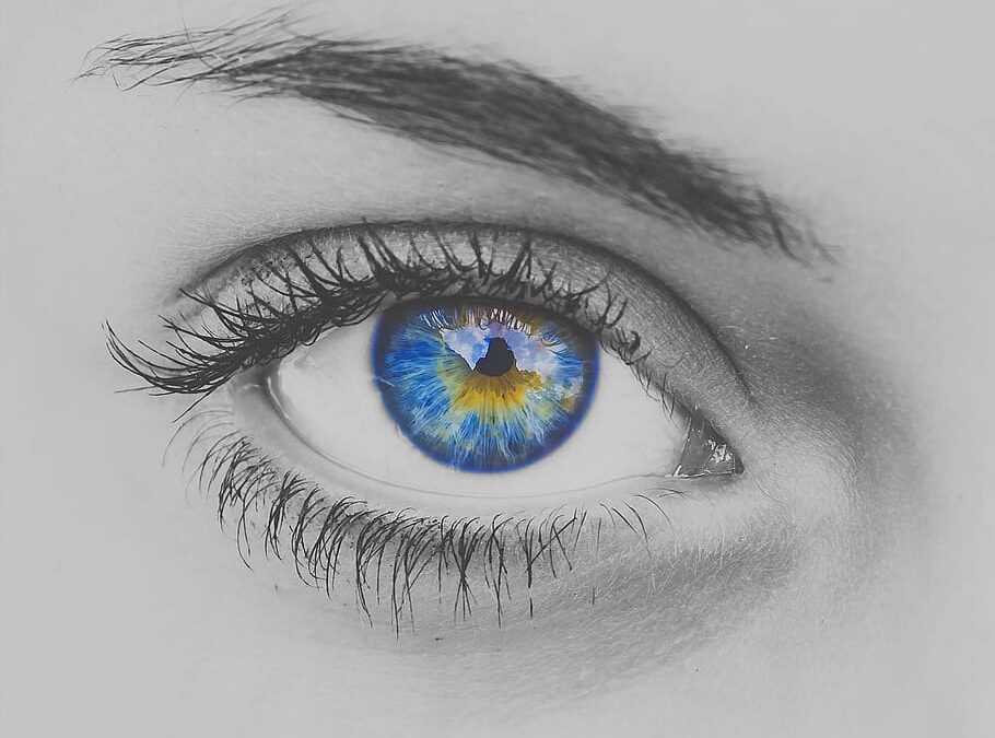 Eyelash Business and Environmental Sustainability