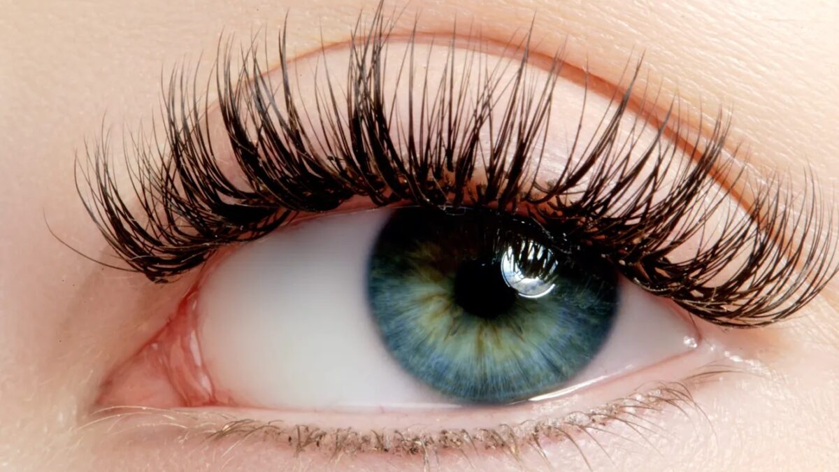 Trends and Innovations in Fake Eyelashes Manufacturing