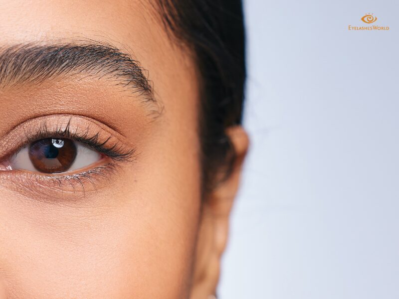 natural false eyelashes