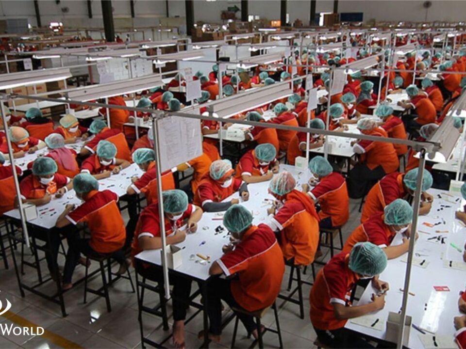 EyelashesWorld's 16-Year Journey: Empowering Beauty and Innovation