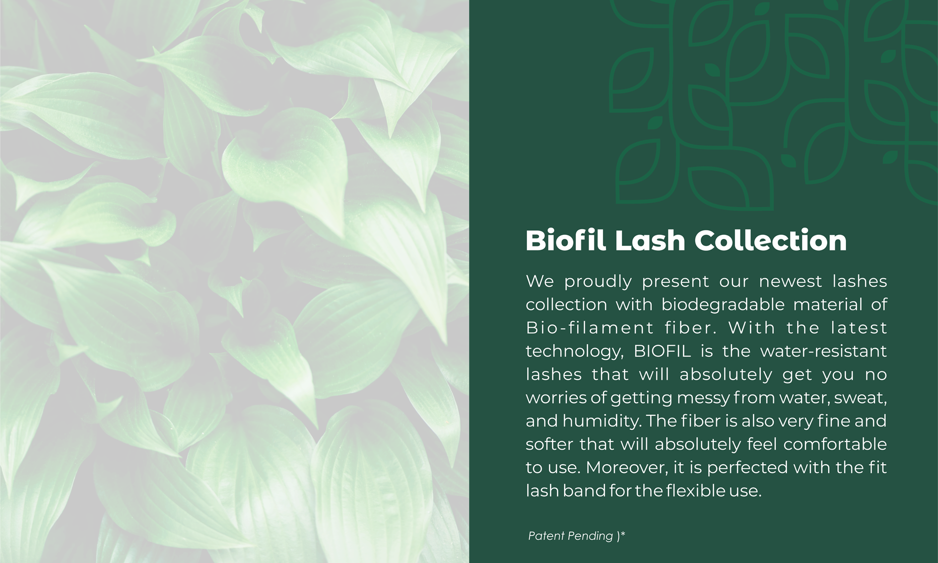 Explore Premium False Eyelashes and Beauty Solutions Online