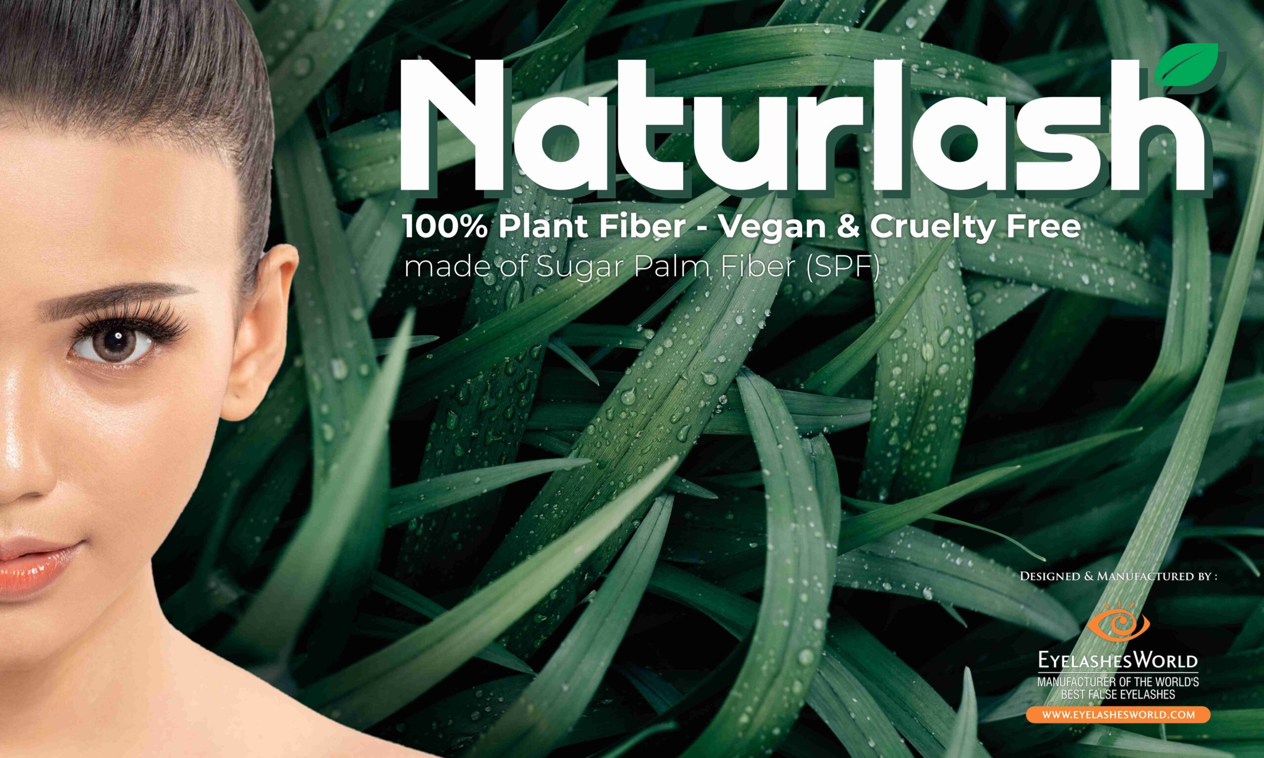 Explore Premium False Eyelashes and Beauty Solutions Online